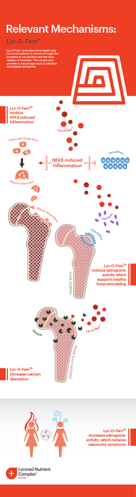 Lycored - Infographic - Lycofem - Final